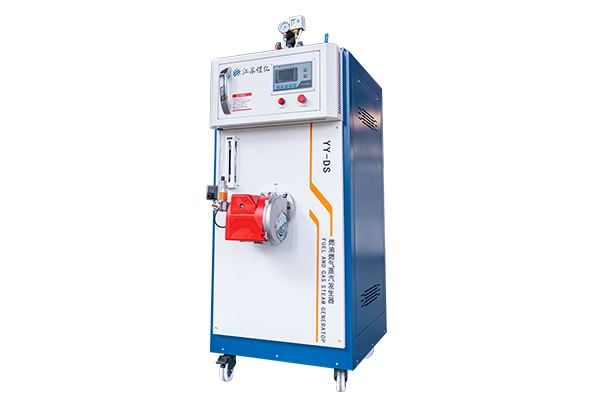 YY-LDR100kg蒸汽发生器